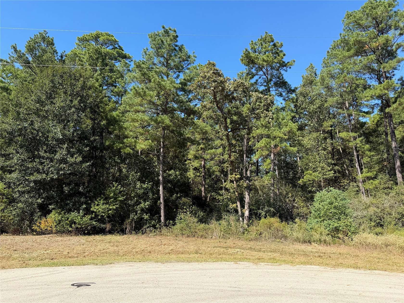 1.75 Acres of Residential Land for Sale in New Waverly, Texas