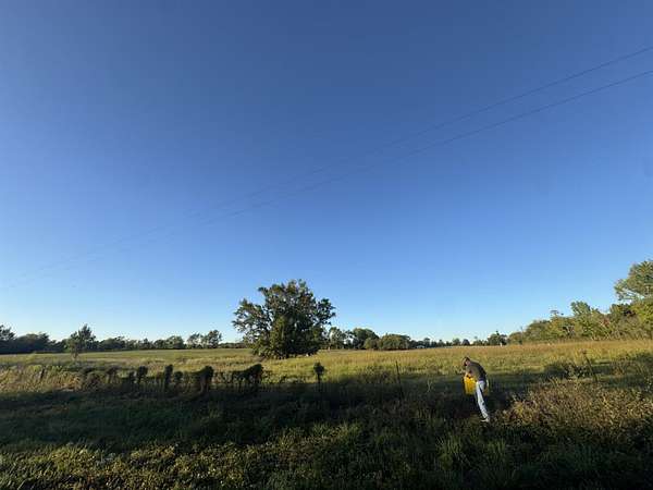 3.27 Acres of Residential Land for Sale in Laneville, Texas