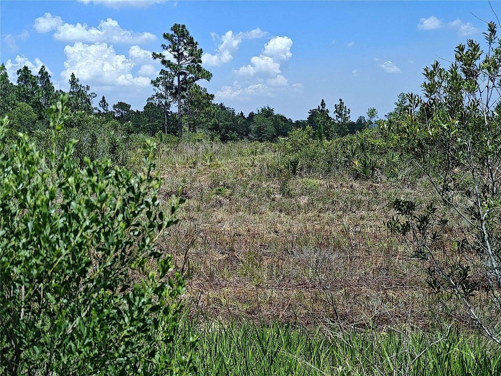 4.9 Acres of Land for Sale in St. Cloud, Florida