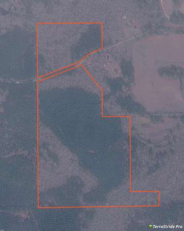 68 Acres of Recreational Land for Sale in Paris, Mississippi