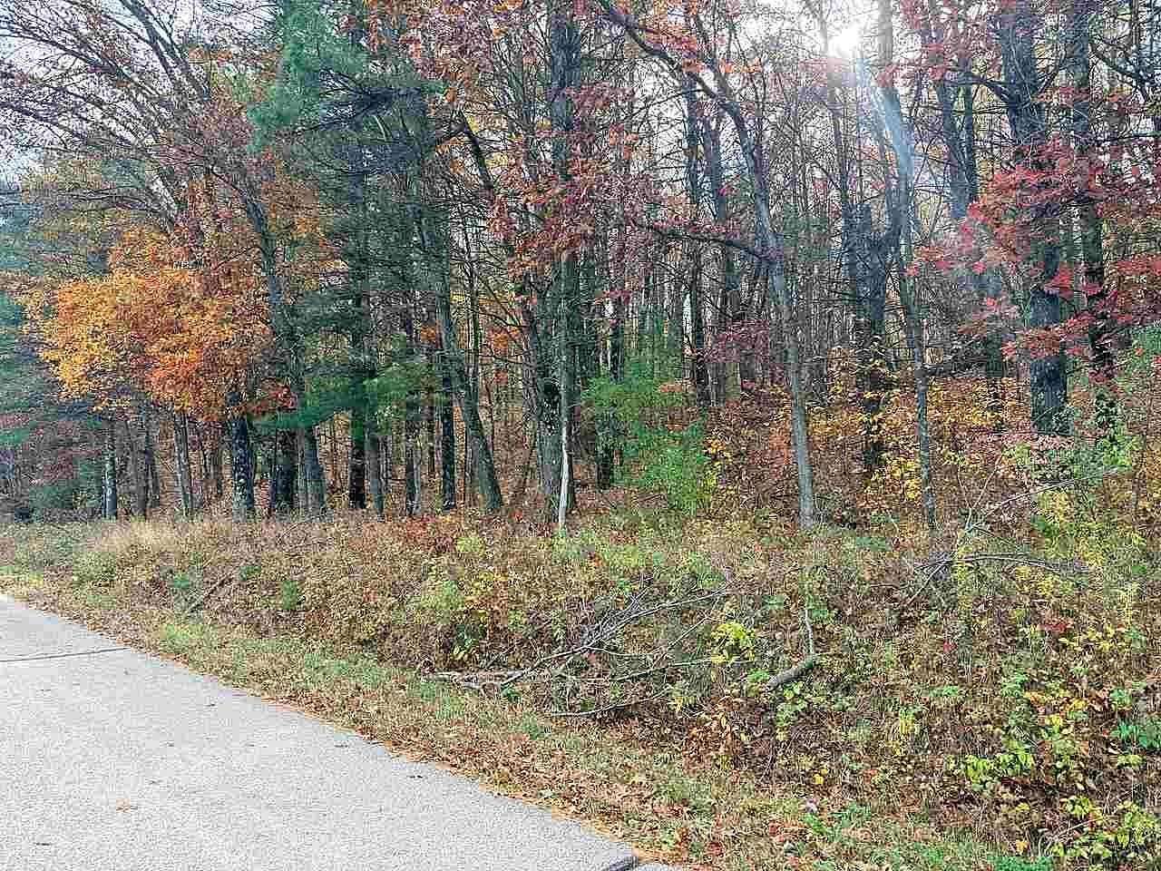 13 Acres of Recreational & Residential Land for Sale in Iola, Wisconsin