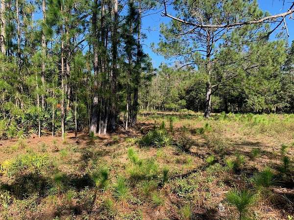 1.1 Acres of Land for Sale in Polk City, Florida