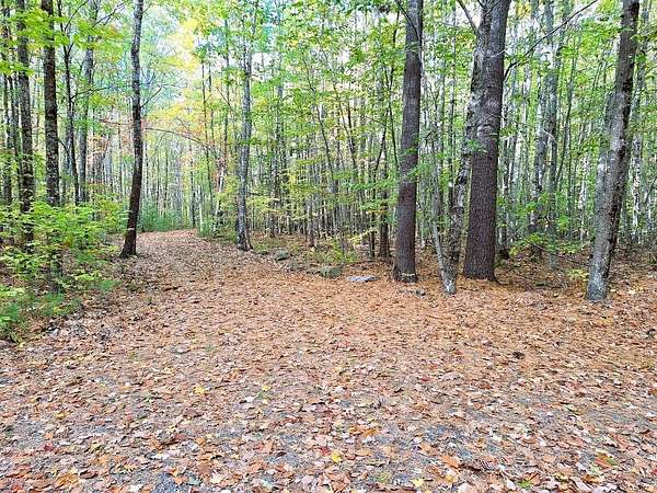 7.72 Acres of Recreational Land for Sale in Fayette, Maine