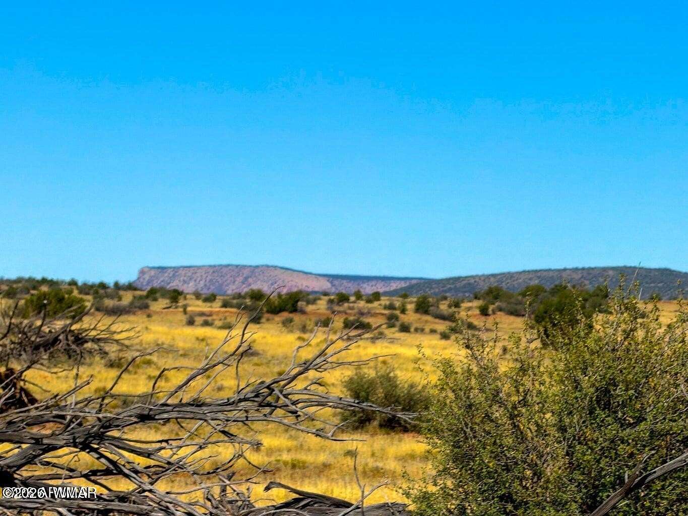 40 Acres of Recreational & Residential Land for Sale in Seligman, Arizona
