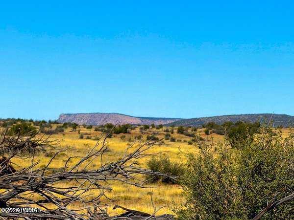 40 Acres of Recreational & Residential Land for Sale in Seligman, Arizona