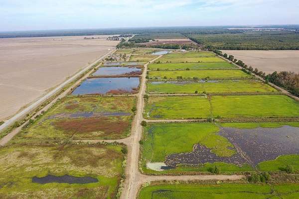 188 Acres of Recreational Land for Sale in Jonesville, Louisiana