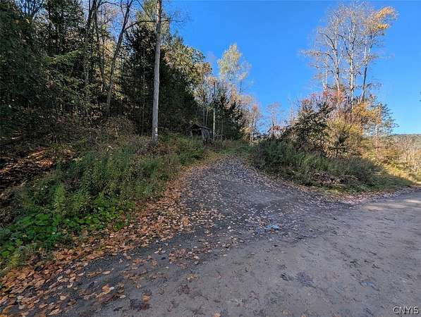 101 Acres of Recreational & Residential Land for Sale in Addison, New York