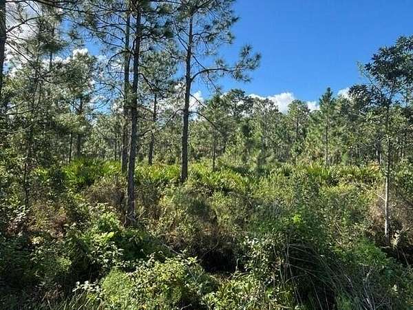 5.69 Acres of Land for Sale in Lake Wales, Florida