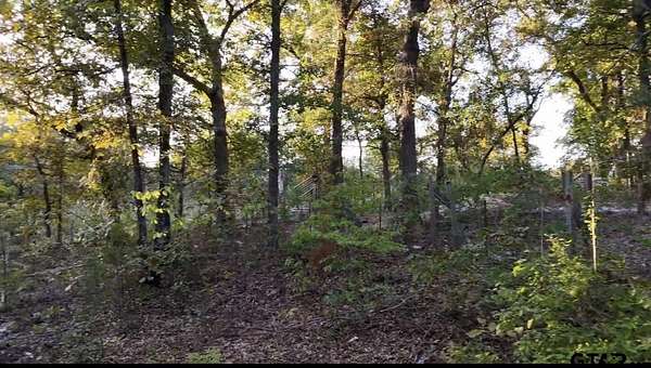0.17 Acres of Residential Land for Sale in Mineola, Texas