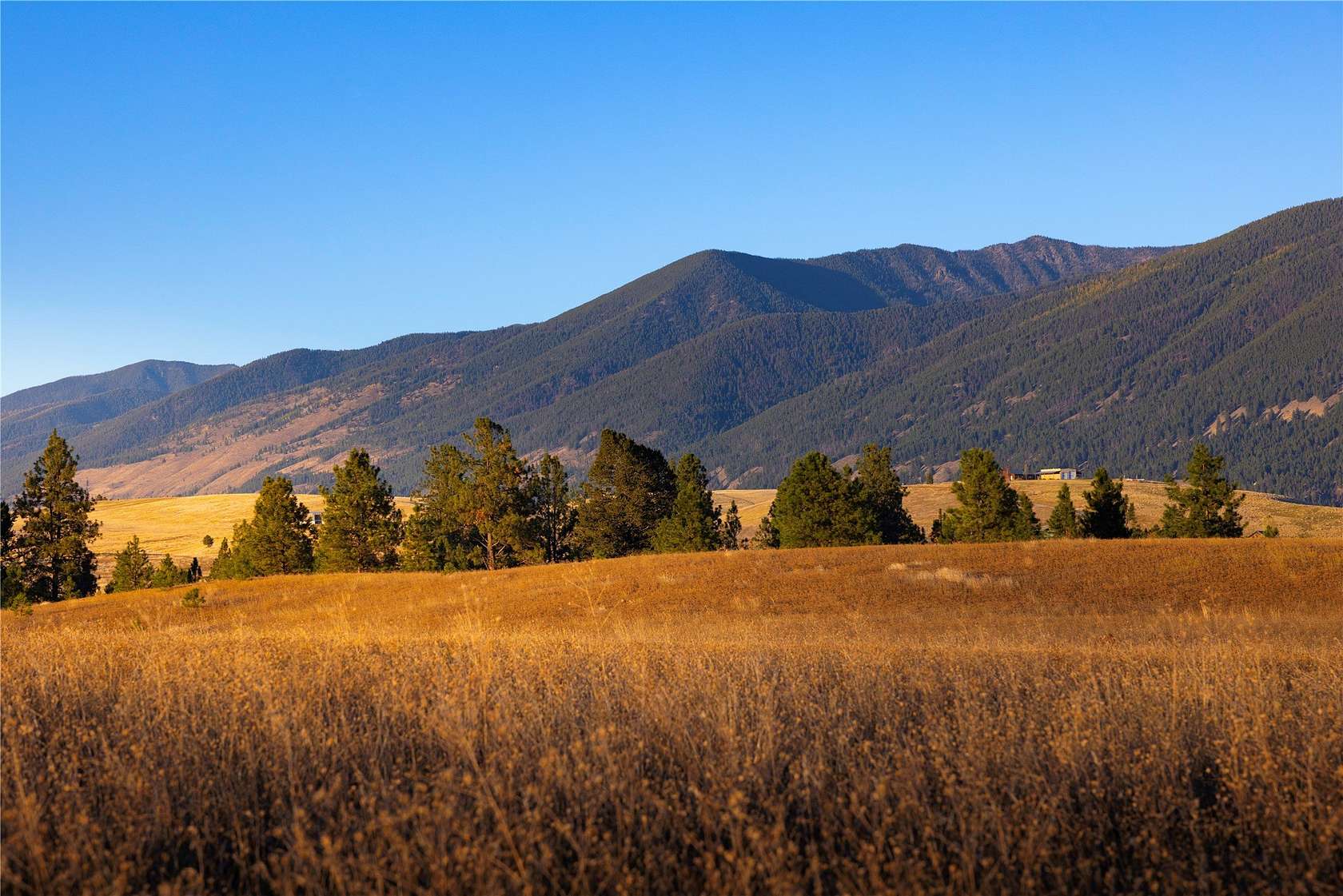 10 Acres of Land for Sale in Eureka, Montana