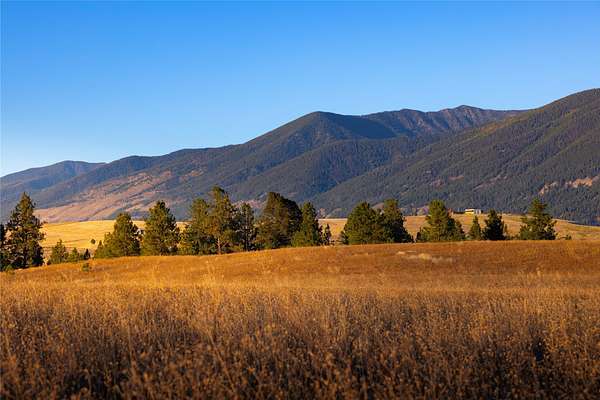 10 Acres of Land for Sale in Eureka, Montana