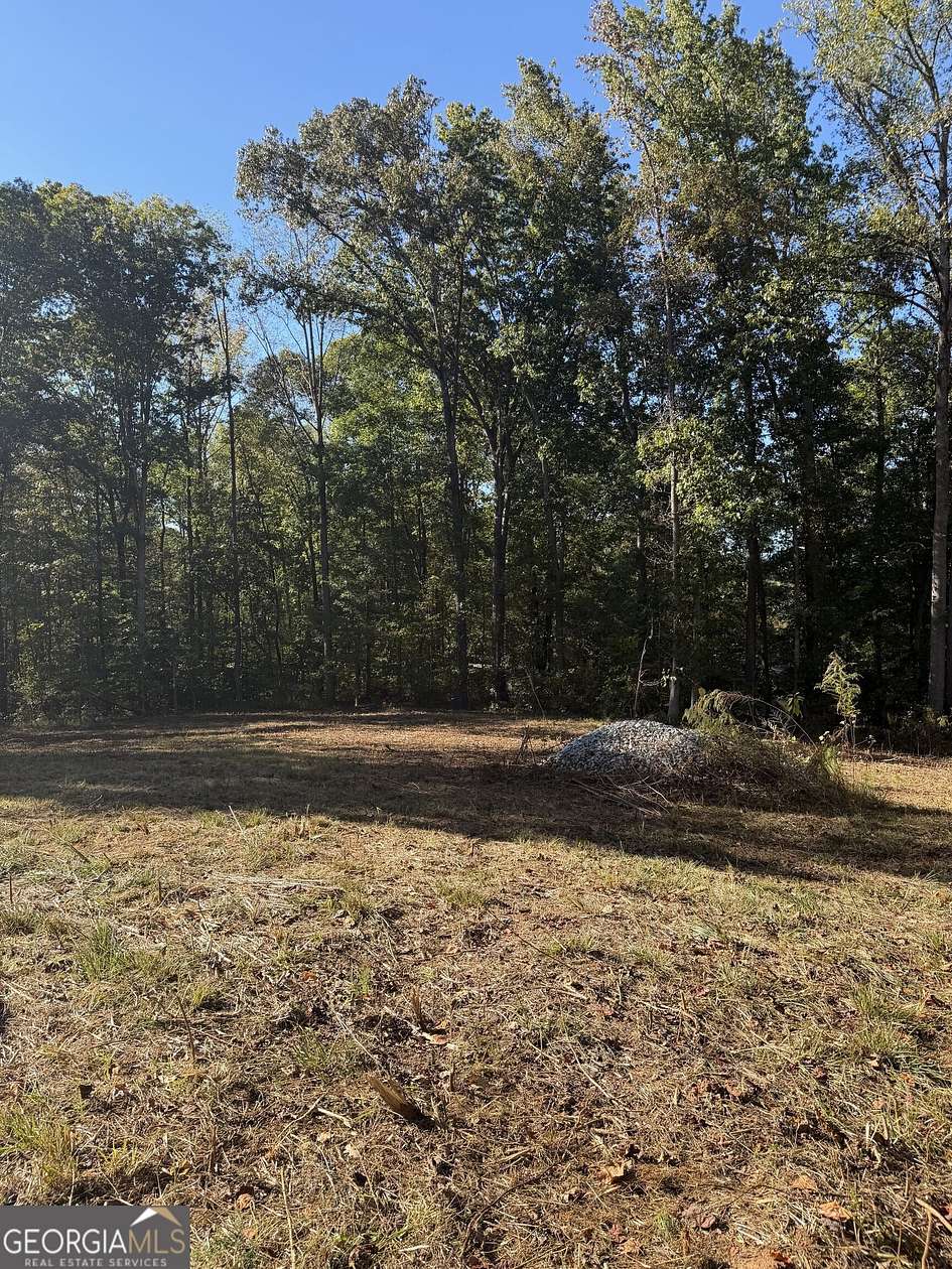 0.6 Acres of Residential Land for Sale in Lavonia, Georgia