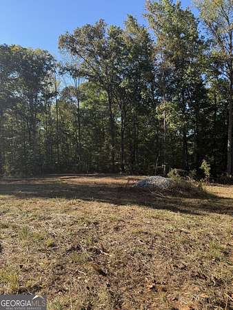 0.6 Acres of Residential Land for Sale in Lavonia, Georgia