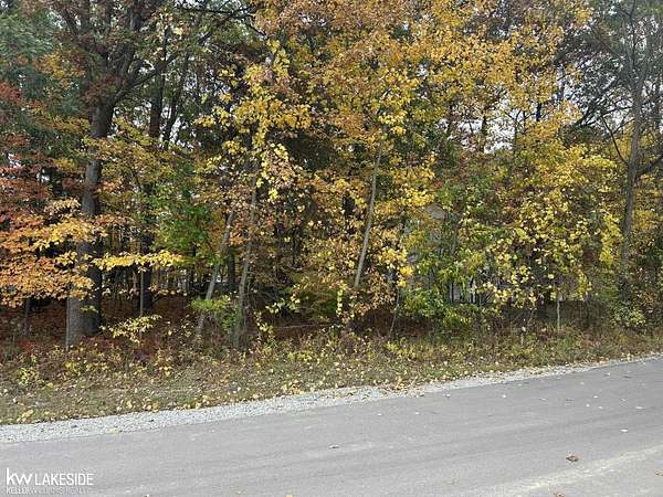 0.41 Acres of Residential Land for Sale in Caseville, Michigan