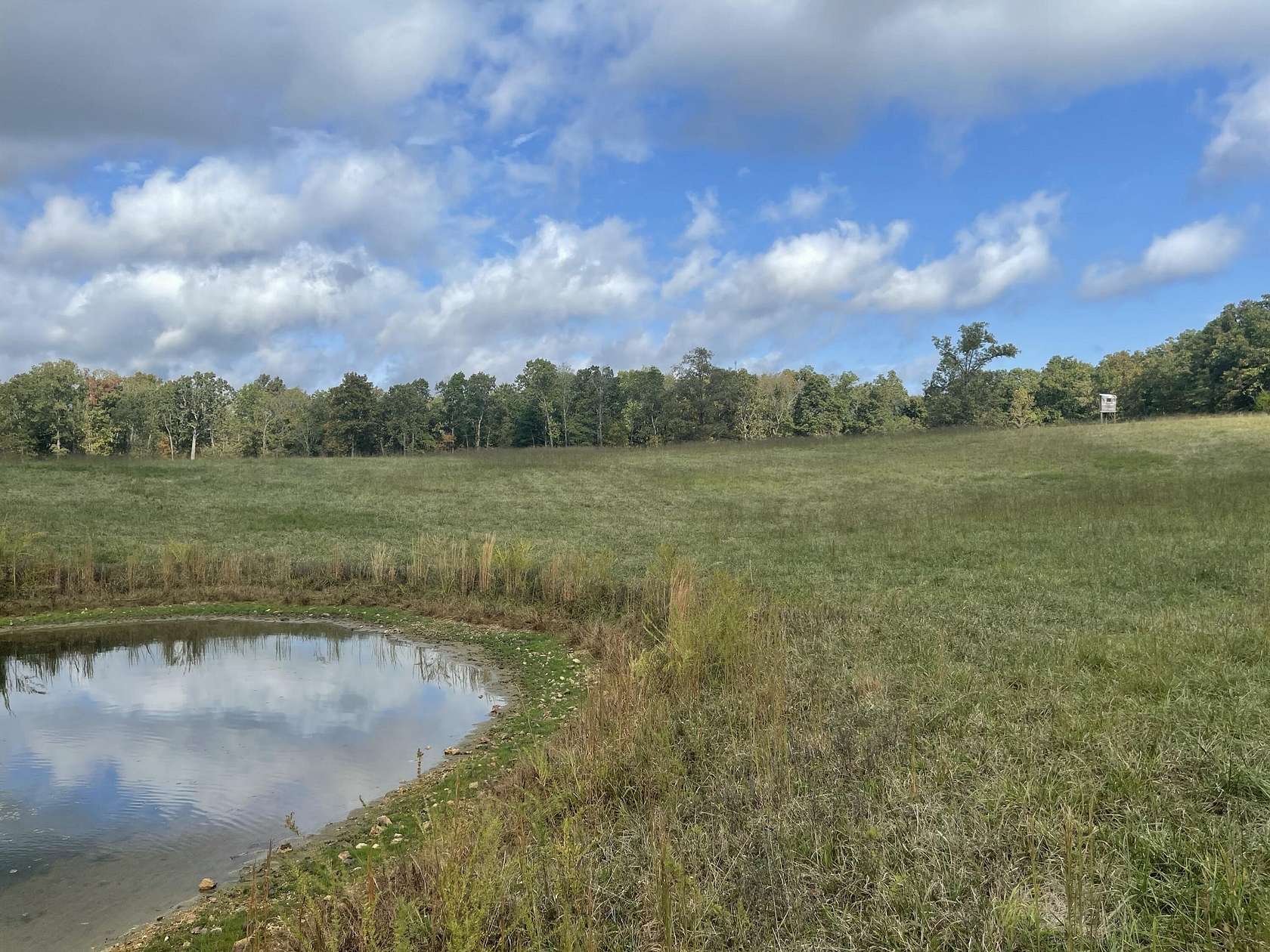 78.8 Acres of Recreational & Residential Land for Sale in Peace Valley, Missouri
