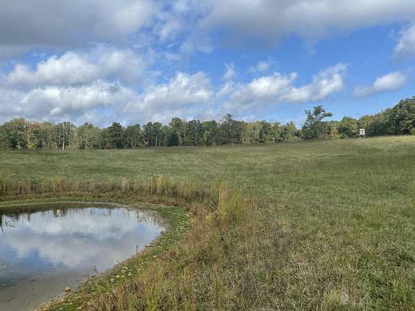 78.8 Acres of Recreational & Residential Land for Sale in Peace Valley, Missouri