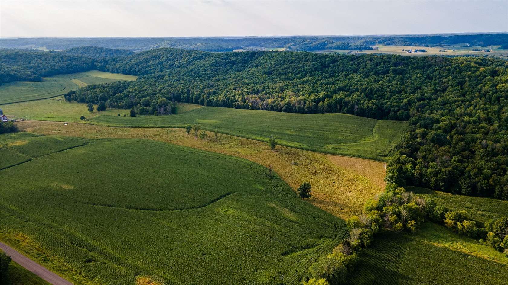 65 Acres of Land for Sale in Colfax, Wisconsin