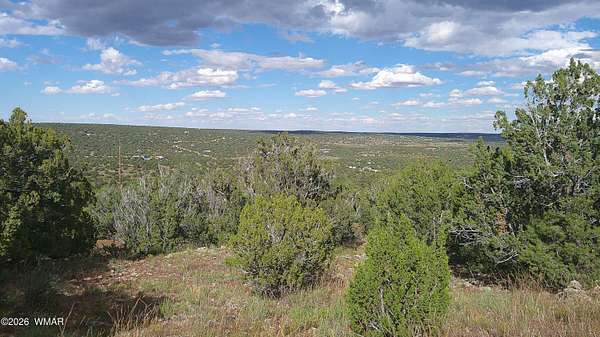 1 Acre of Residential Land for Sale in Concho, Arizona