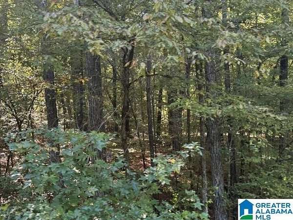 29 Acres of Recreational & Residential Land for Sale in Mulga, Alabama