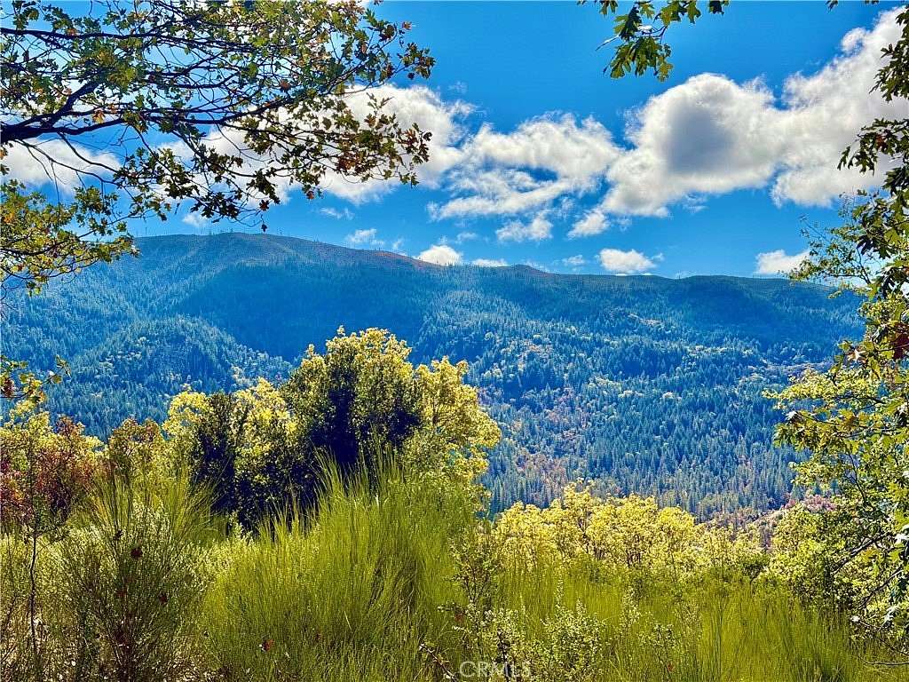 1 Acre of Land for Sale in Cobb, California