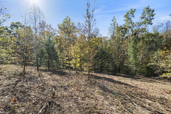 1 Acre of Residential Land for Sale in Bon Aqua, Tennessee