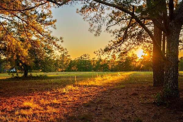 12.2 Acres of Land for Sale in Beech Island, South Carolina