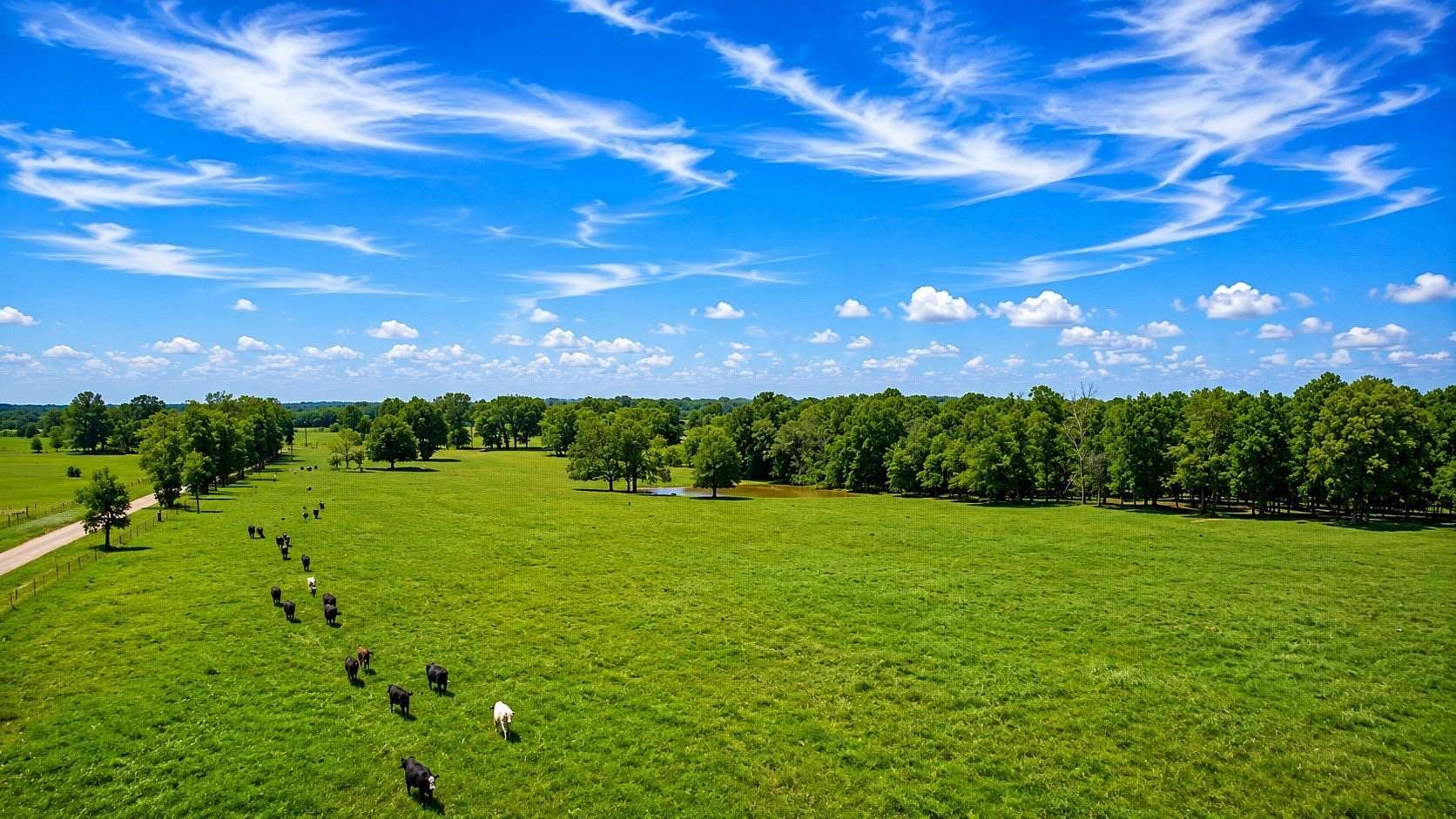 10 Acres of Recreational & Residential Land for Sale in Blossom, Texas