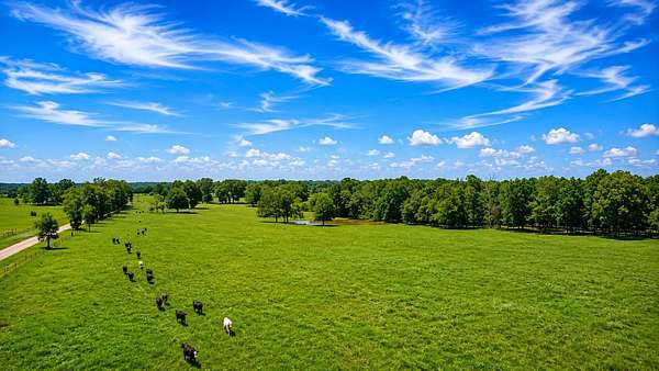 10 Acres of Recreational & Residential Land for Sale in Blossom, Texas