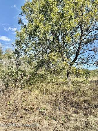 0.9 Acres of Residential Land for Sale in Mound Bayou, Mississippi