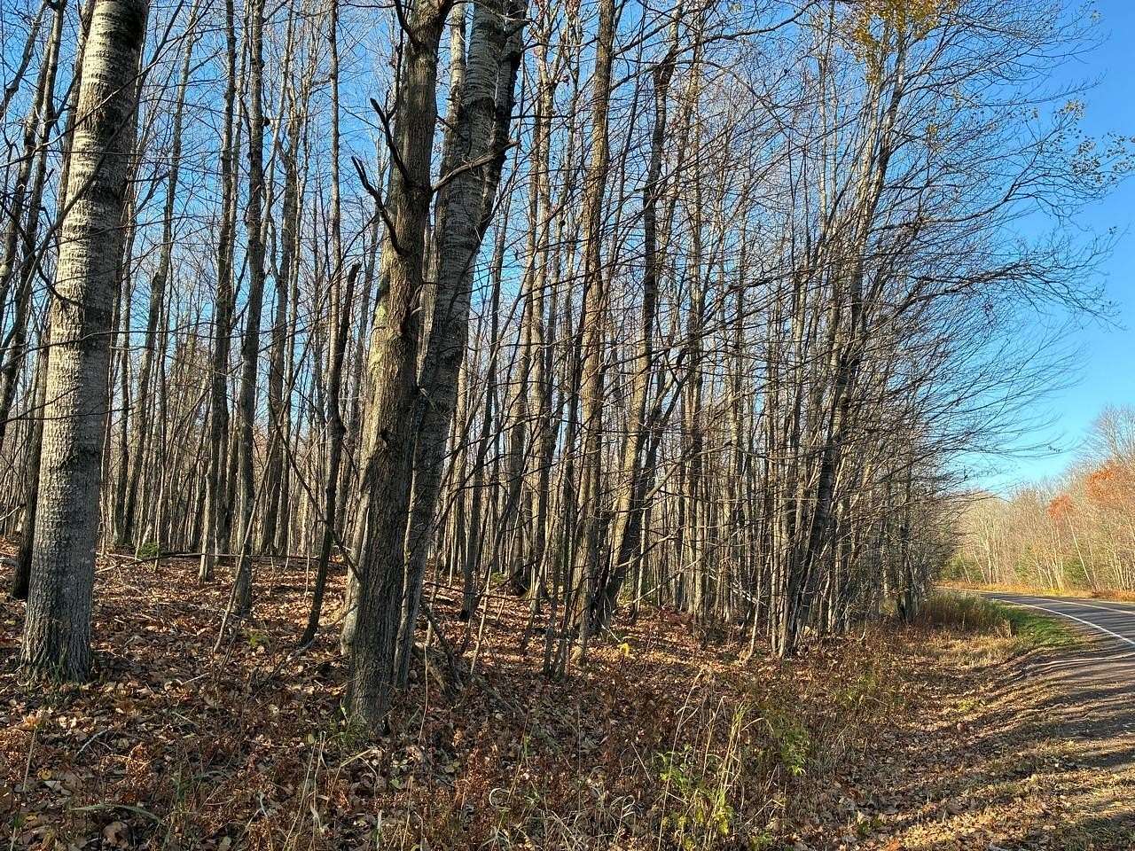 12 Acres of Land for Sale in Upson, Wisconsin