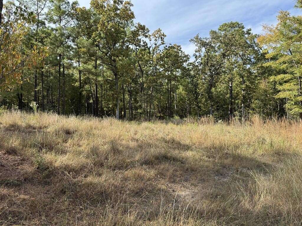 0.67 Acres of Residential Land for Sale in Brookeland, Texas