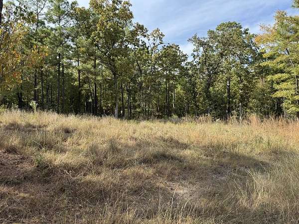 0.67 Acres of Residential Land for Sale in Brookeland, Texas