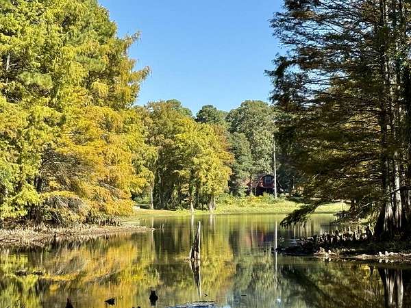 5 Acres of Residential Land for Sale in Hemphill, Texas