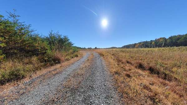 56.2 Acres of Recreational & Residential Land for Auction in Somerset, Kentucky