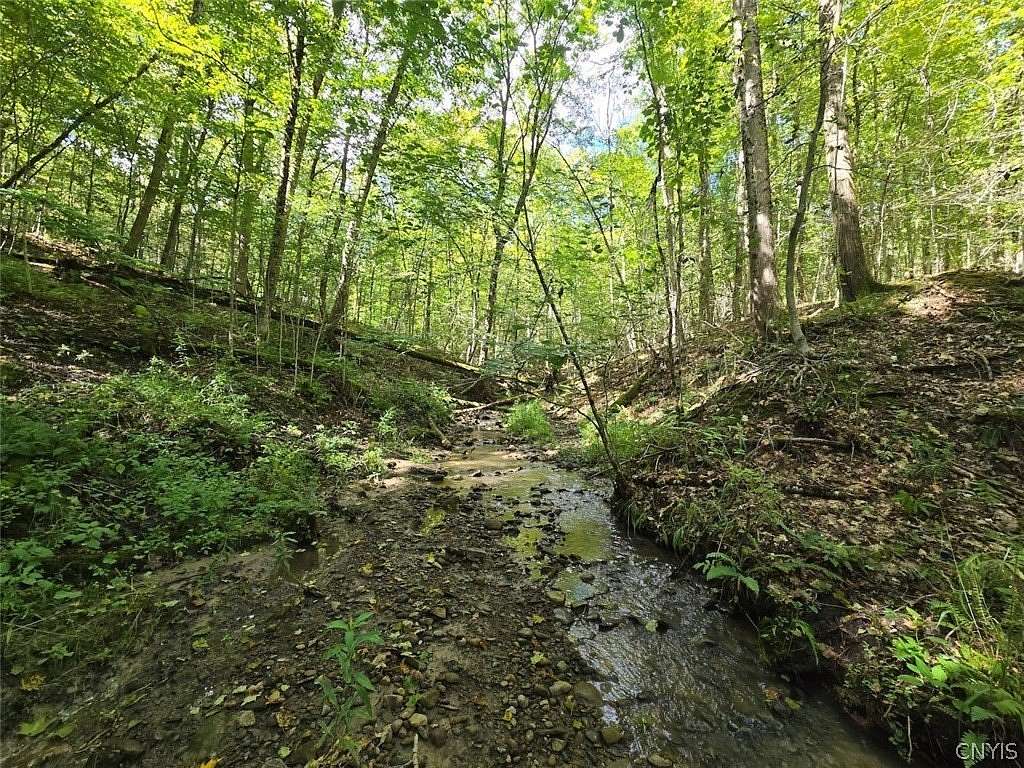 74.7 Acres of Recreational Land for Sale in Portageville, New York
