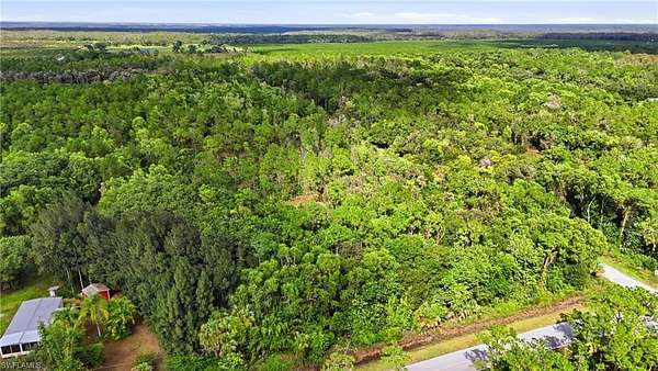 4.75 Acres of Residential Land for Sale in Naples, Florida