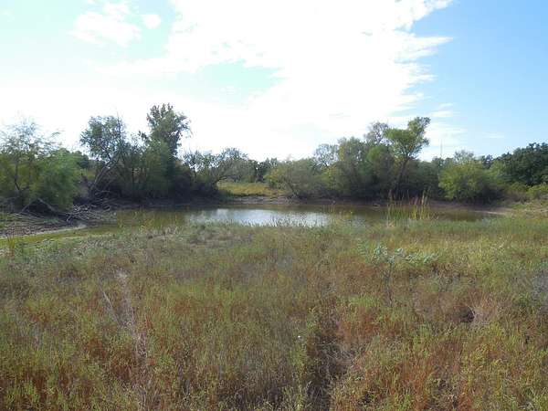 30 Acres of Recreational Land for Sale in Ranger, Texas