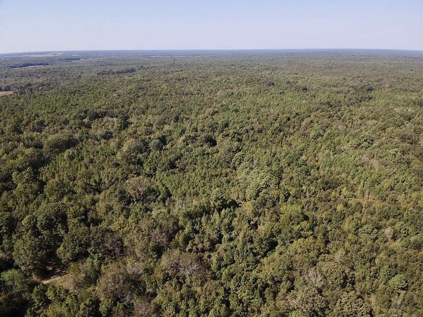 66 Acres of Recreational & Residential Land for Sale in Clarksville, Texas