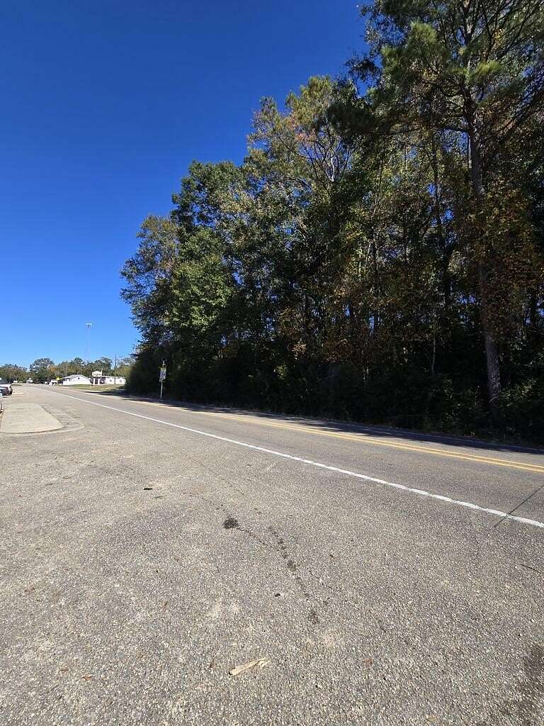1.9 Acres of Mixed-Use Land for Sale in Carriere, Mississippi