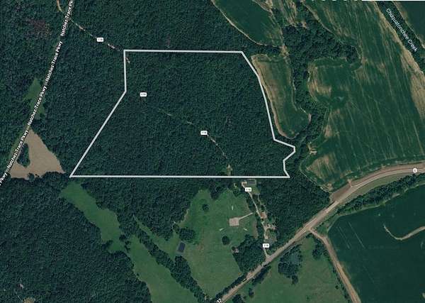 52 Acres of Recreational Land for Sale in Houston, Mississippi