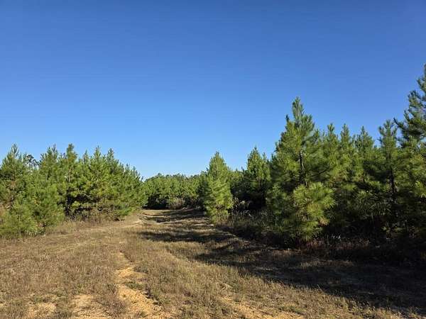 112 Acres of Recreational Land for Sale in Newton, Texas