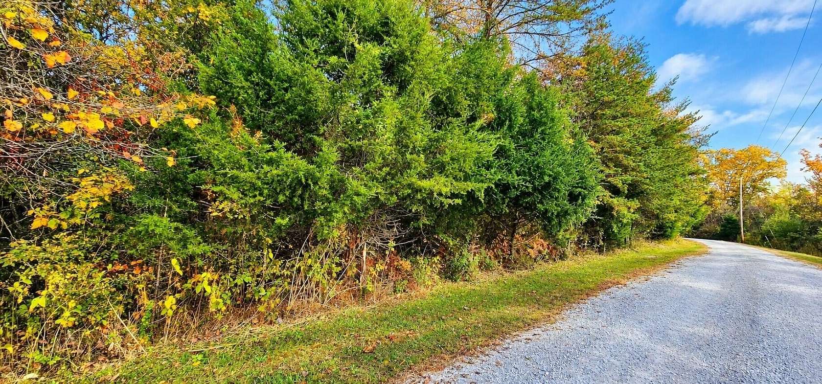 5.56 Acres of Land for Sale in Burnside, Kentucky