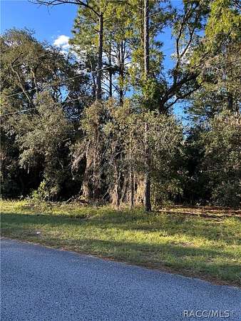 1 Acre of Residential Land for Sale in Hernando, Florida