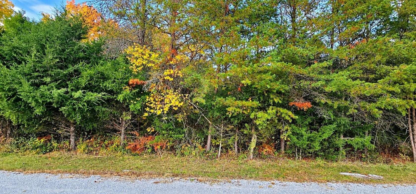 5 Acres of Land for Sale in Burnside, Kentucky