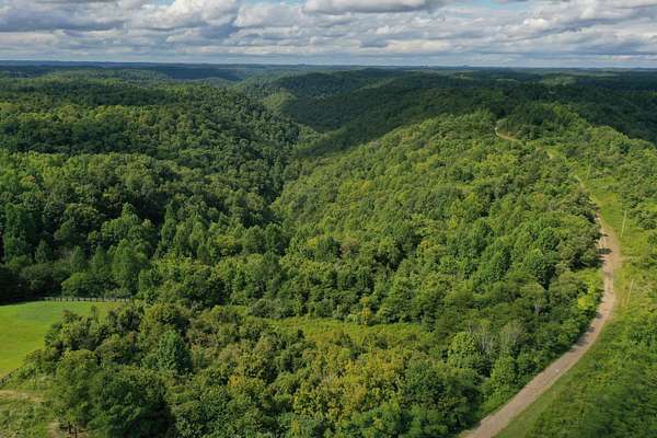 118 Acres of Land for Sale in Jackson, Kentucky