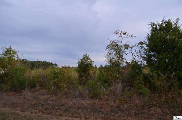 219 Acres of Mixed-Use Land for Sale in Ruston, Louisiana