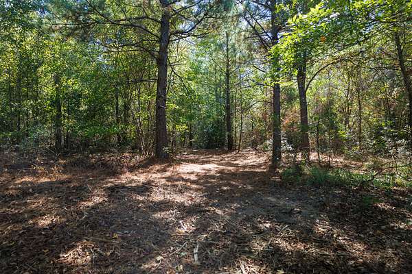 38.3 Acres of Land for Sale in Gilmer, Texas