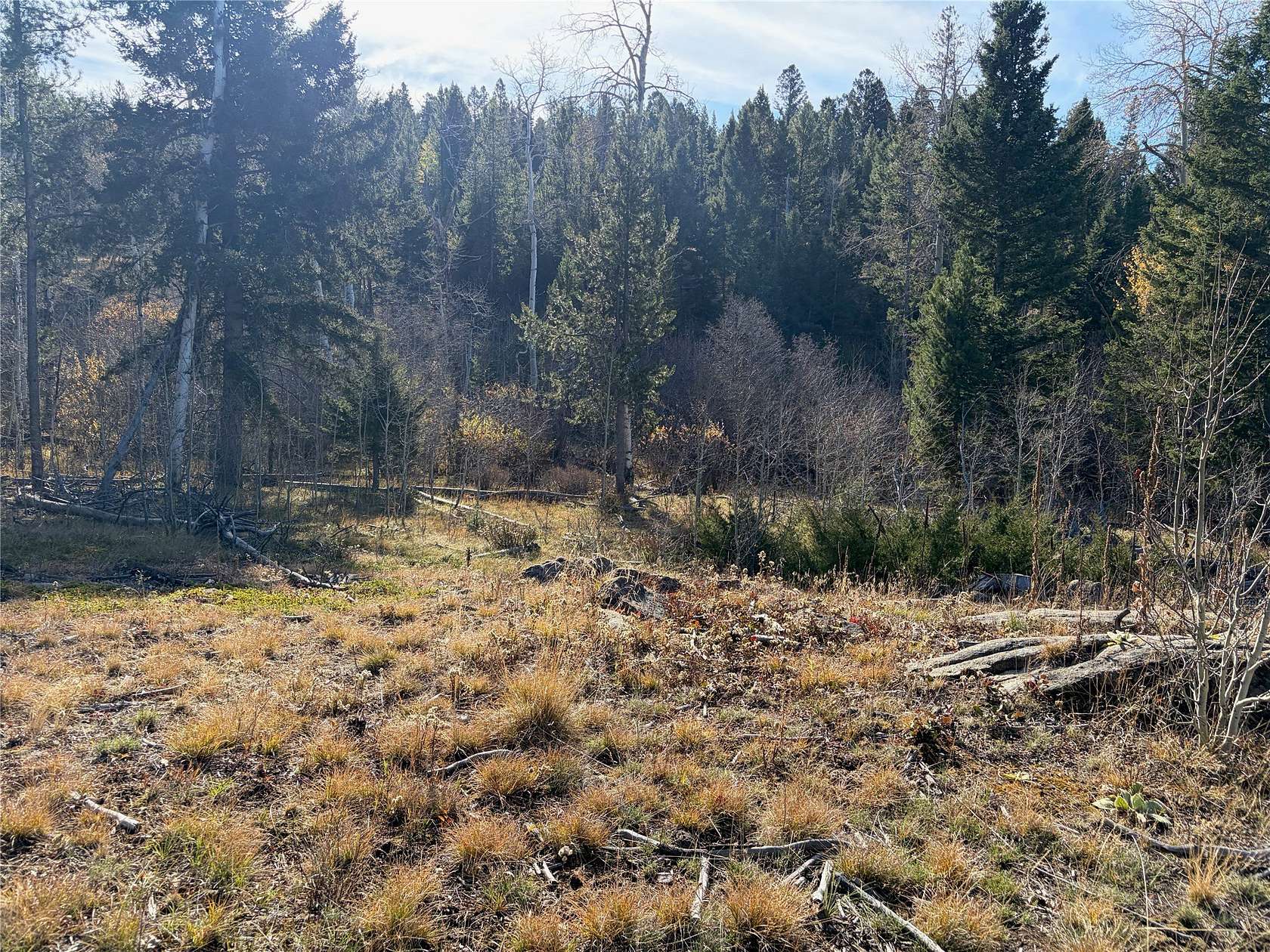 9 Acres of Residential Land for Sale in Deer Lodge, Montana