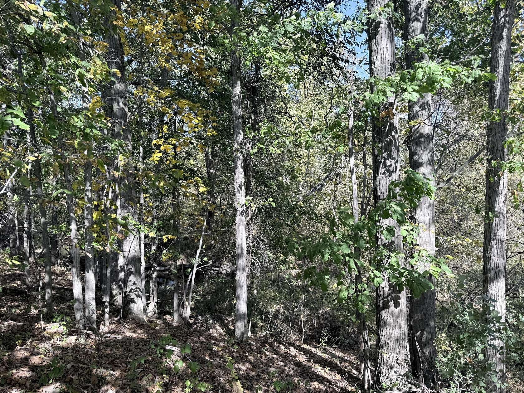 13.3 Acres of Land for Sale in Clio, Michigan