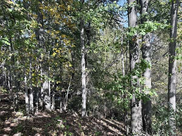 13.3 Acres of Land for Sale in Clio, Michigan